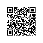 251R15S221JV4E QRCode