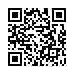 2900185 QRCode