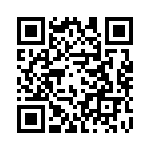 2904290 QRCode