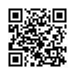 2905291 QRCode