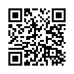 2907641 QRCode