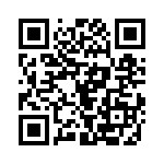 2DE-19PK87 QRCode