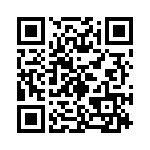 2N333 QRCode