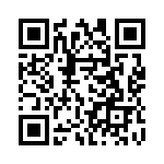 2N3838 QRCode