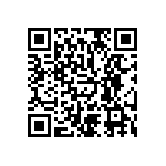 3009W4PAR99E20X QRCode