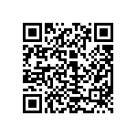 300AWSP1J3BLKVS2QE QRCode