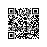 300AWSP4J2YELVS21RE QRCode