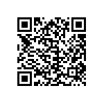 300DP4J3BLKVS2QE QRCode