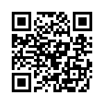 300X10939X QRCode