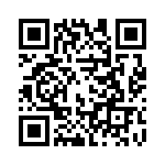 300X11419X QRCode