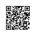 310-13-125-41-001000 QRCode