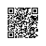 311-83-117-41-001101 QRCode