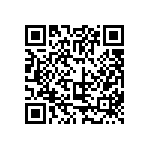 311-87-131-41-001101 QRCode