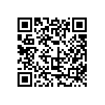 316-93-131-41-006000 QRCode