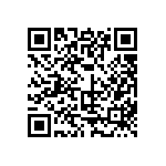 316-93-161-41-006000 QRCode