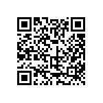 317-83-113-41-022101 QRCode