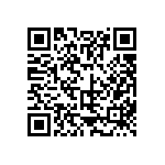 317-87-112-41-022101 QRCode