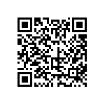 317-87-117-41-022101 QRCode