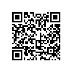 317-87-124-41-022101 QRCode