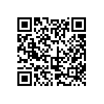 317-87-128-41-022101 QRCode