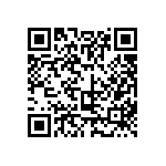 317-87-137-41-022101 QRCode