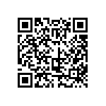 323-87-125-41-001101 QRCode