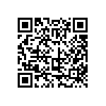 323-87-131-41-001101 QRCode