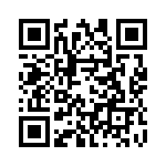 33151C QRCode