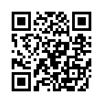 353NB3I163T QRCode