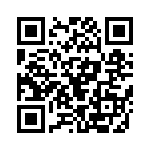 353NB3I447T QRCode