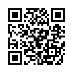 353NB3I480T QRCode