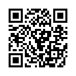 353NB5C491T QRCode