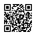 353NB6A250T QRCode