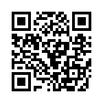 353VB5I491T QRCode