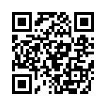 353WB6A250R QRCode