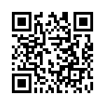 382811-9 QRCode