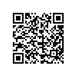 383LX273M080B102VS QRCode