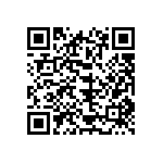 383LX332M250N082 QRCode