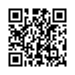 385500M1231 QRCode