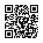 390105 QRCode