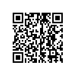 399-V3-135-10-009101 QRCode