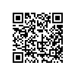 399-V3-161-10-009101 QRCode