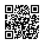 4-1393818-4 QRCode