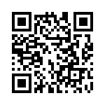 4-173146-1 QRCode