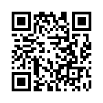 4-176313-6 QRCode