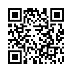 4-176833-2 QRCode