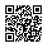 4-1971904-2 QRCode