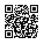 4-641113-1 QRCode