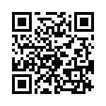 4-641213-3 QRCode