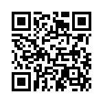 4-641217-5 QRCode